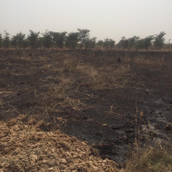 Meet your Posher, Michael - Picture 1 of 1